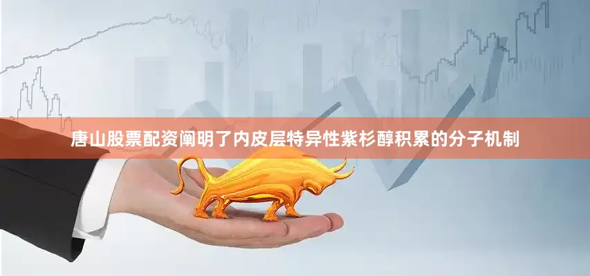 唐山股票配资阐明了内皮层特异性紫杉醇积累的分子机制
