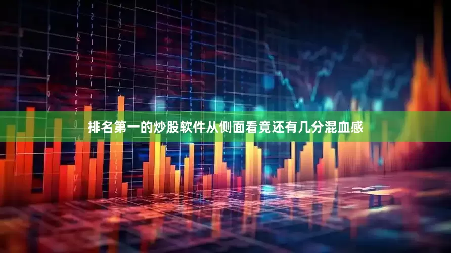 排名第一的炒股软件从侧面看竟还有几分混血感