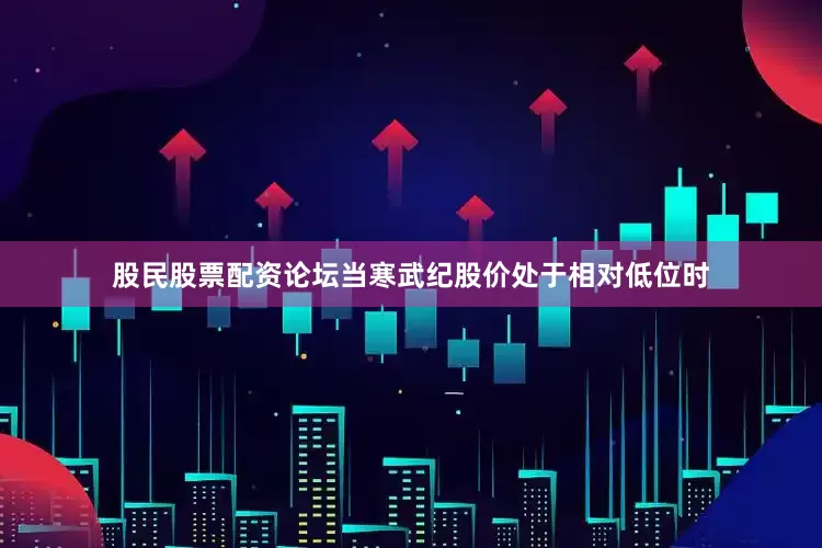 股民股票配资论坛当寒武纪股价处于相对低位时