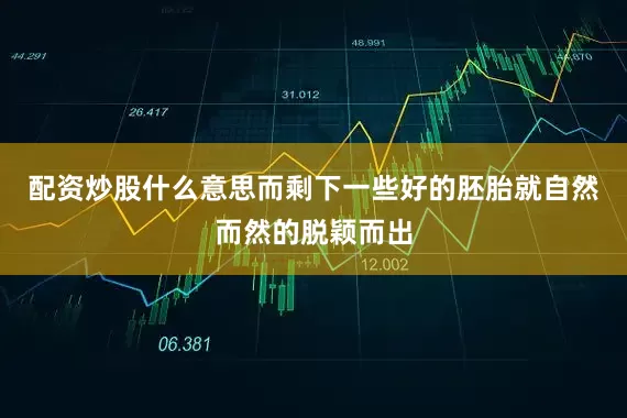 配资炒股什么意思而剩下一些好的胚胎就自然而然的脱颖而出